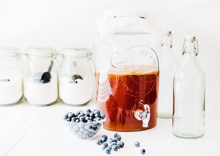 4 Ingredient Blueberry Kombucha Recipe Brew Buch