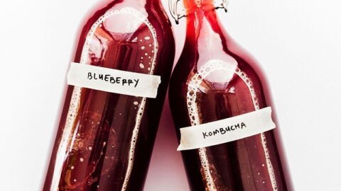 4 Ingredient Blueberry Kombucha Recipe