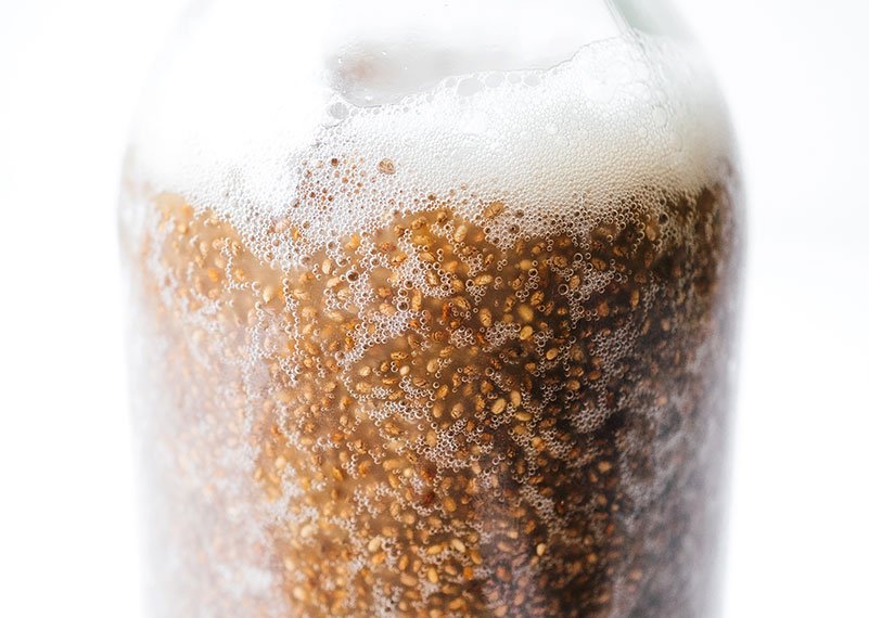 Bottle of chia seed kombucha on white background