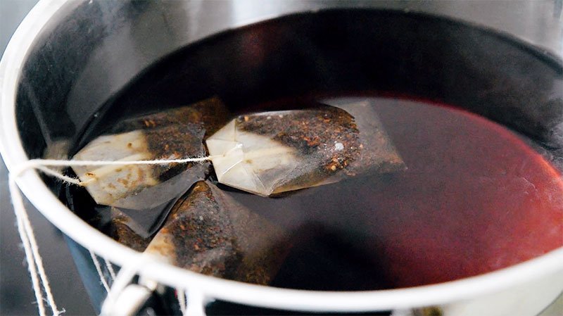 Black Tea Kombucha SCOBY