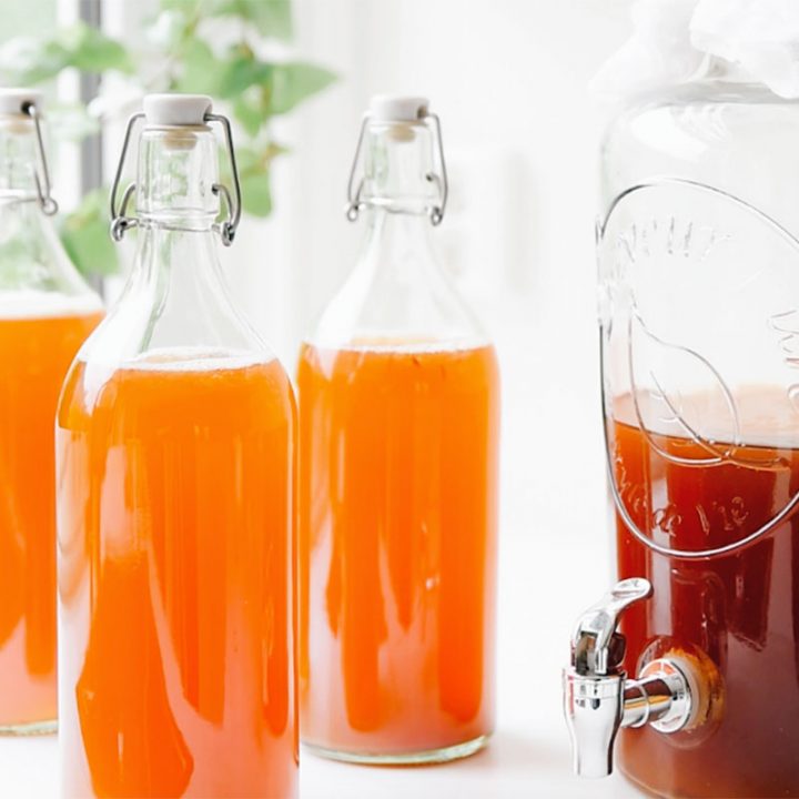 An interview with HealthAde Kombucha Brew Buch