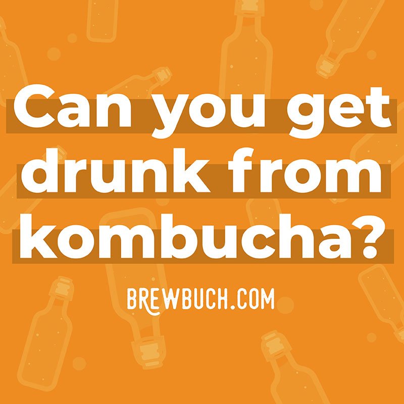 Kombucha, the popular fermented tea, has a boozy little secret...it contains alcohol! But is there enough of it in kombucha to get you drunk? 