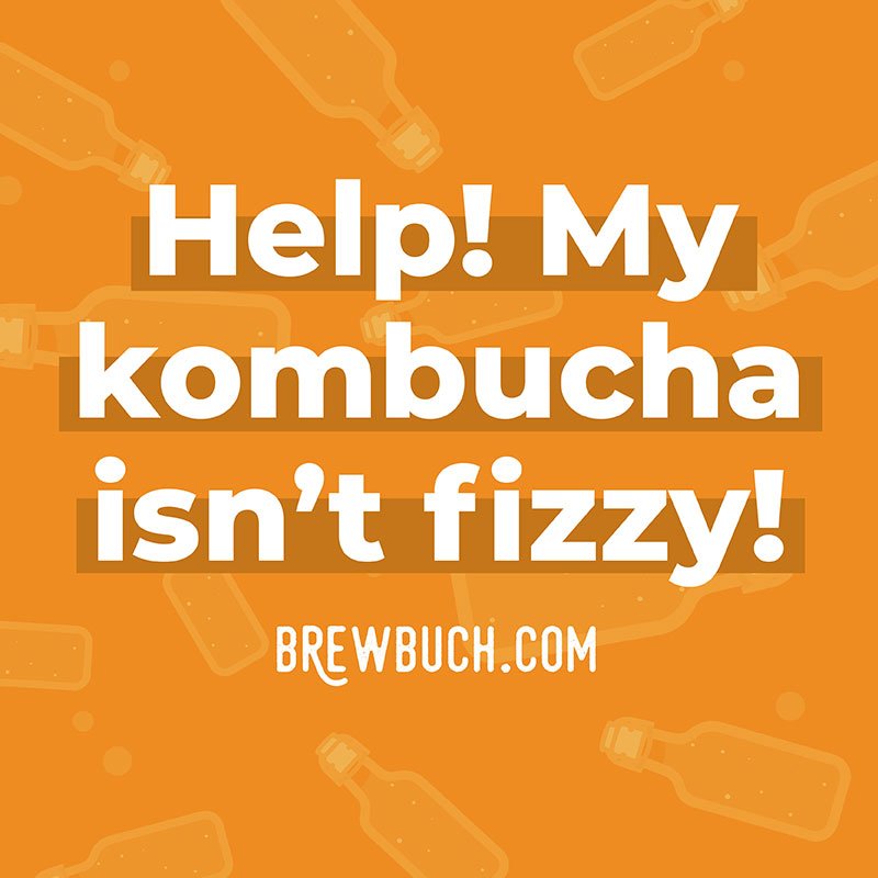 kombucha not fizzy