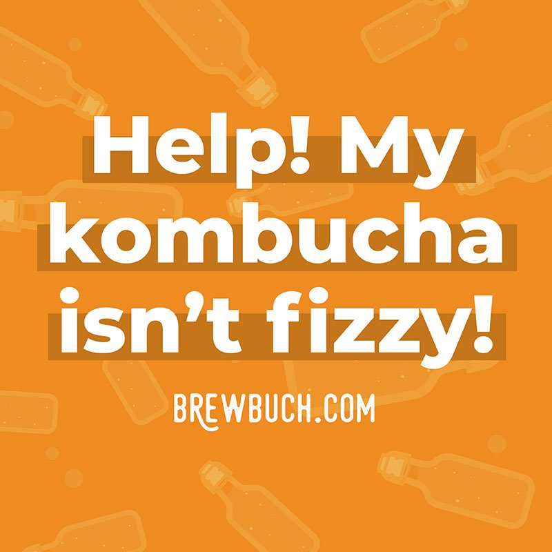 Why Isn't My Kombucha Fizzy? 10 Ways to Fix Flat Kombucha!