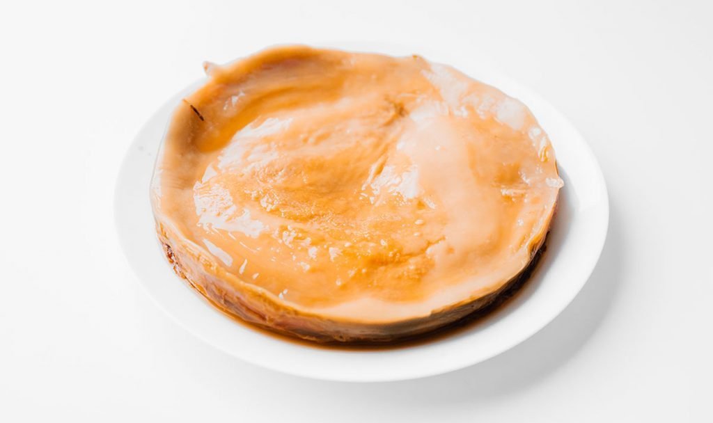 kombucha scoby on a plate