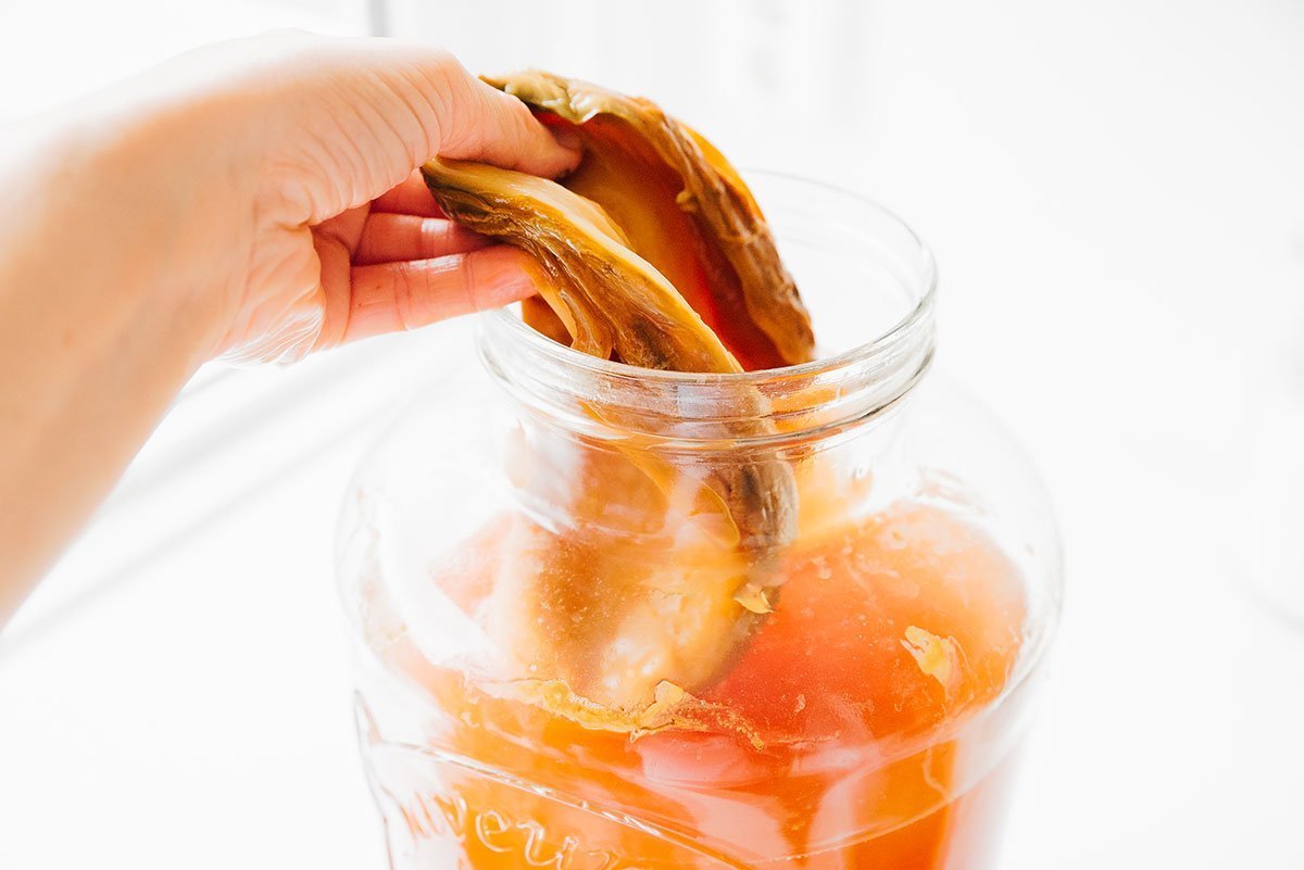 Kombucha SCOBY in a jar.