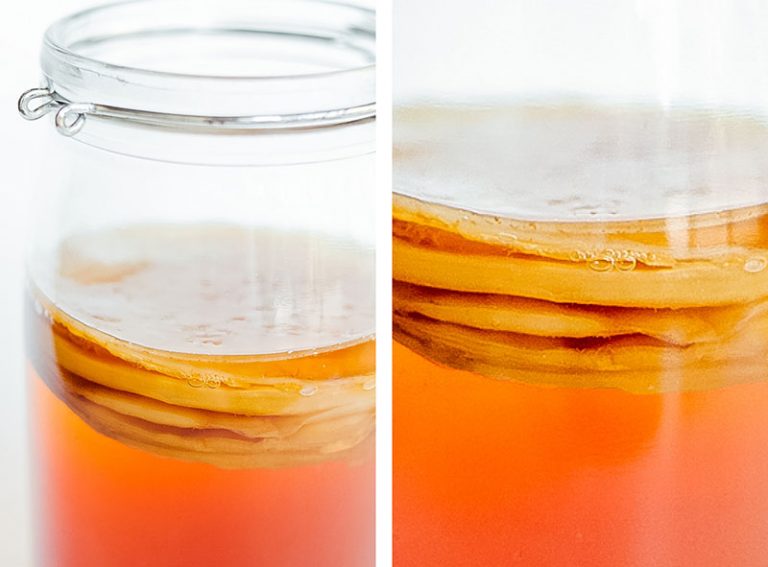 How to Make Kombucha (A Beginners Guide!) Brew Buch