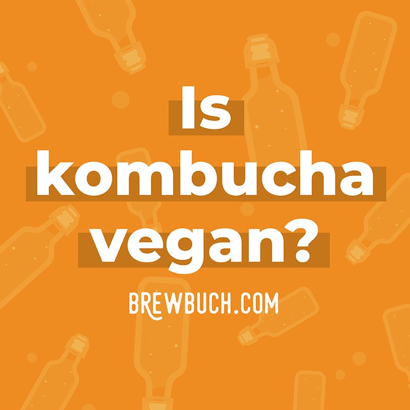 Collage that says "is kombucha vegan?".