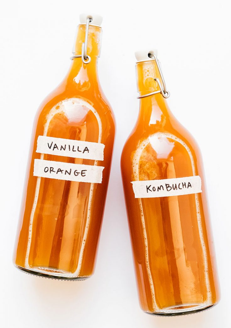 Home Brewed Orange Creamsicle Kombucha Brew Buch