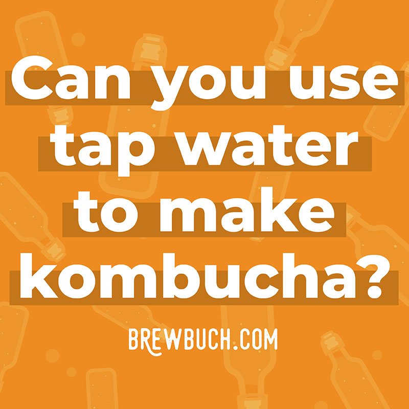 Can you use tap water to make kombucha photo collage