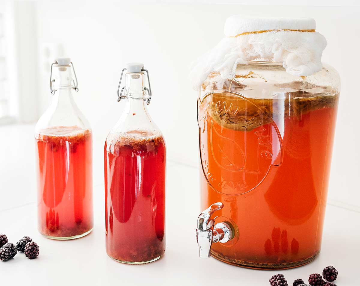 Berry kombucha in fermentation bottles on white background