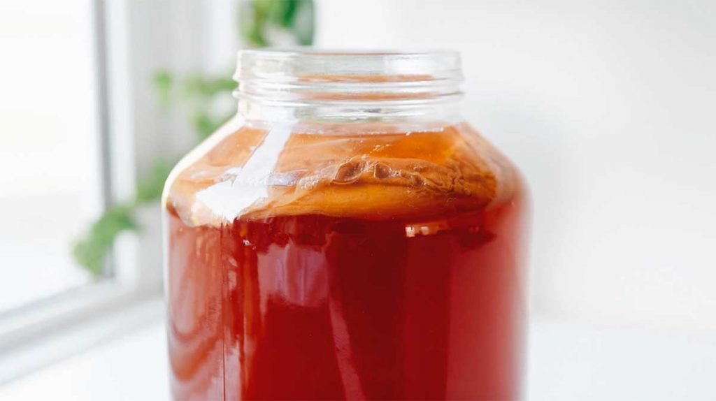 Kombucha SCOBY in a jar