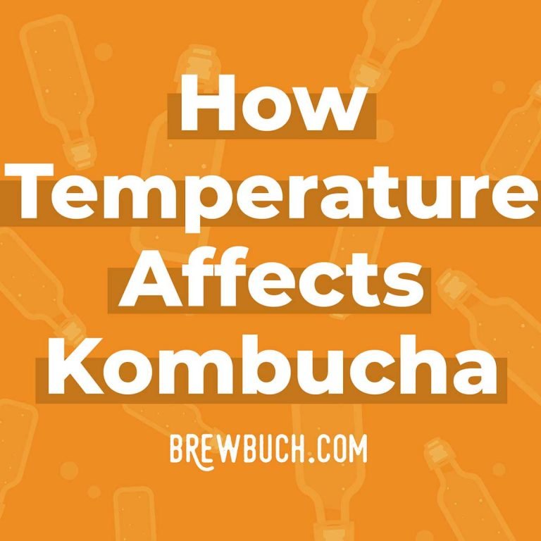 How Temperature Affects Kombucha Brew Buch