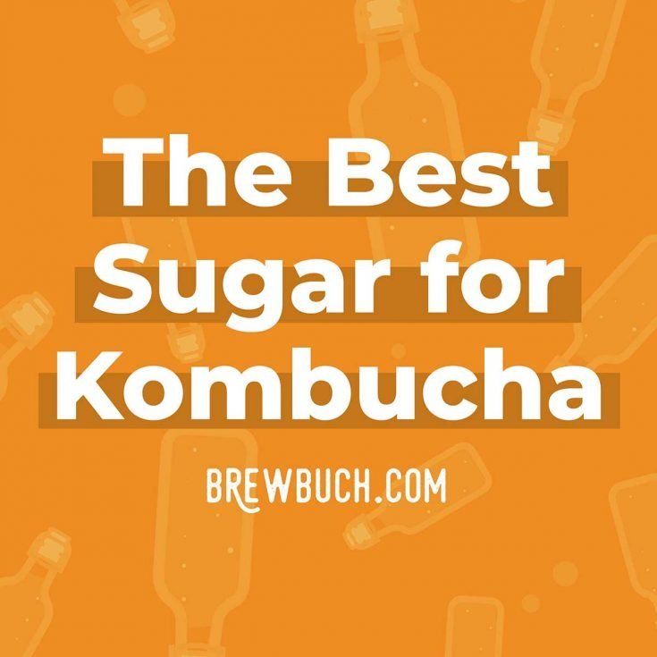 The Best Sugar For Kombucha (+ Sugars To Avoid!) Brew Buch