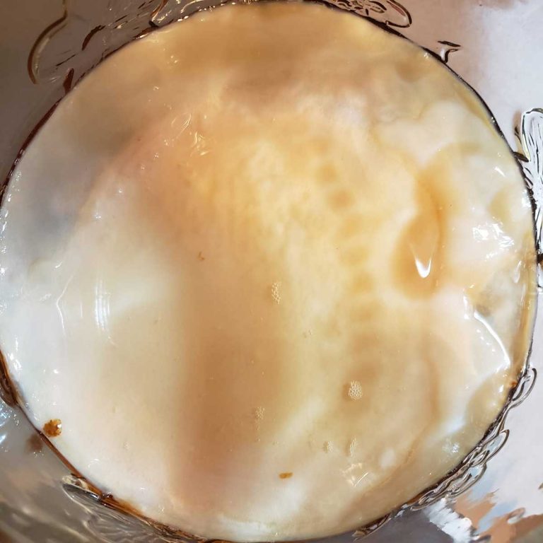 Kombucha Mold vs. Not Mold (with Photos) Brew Buch