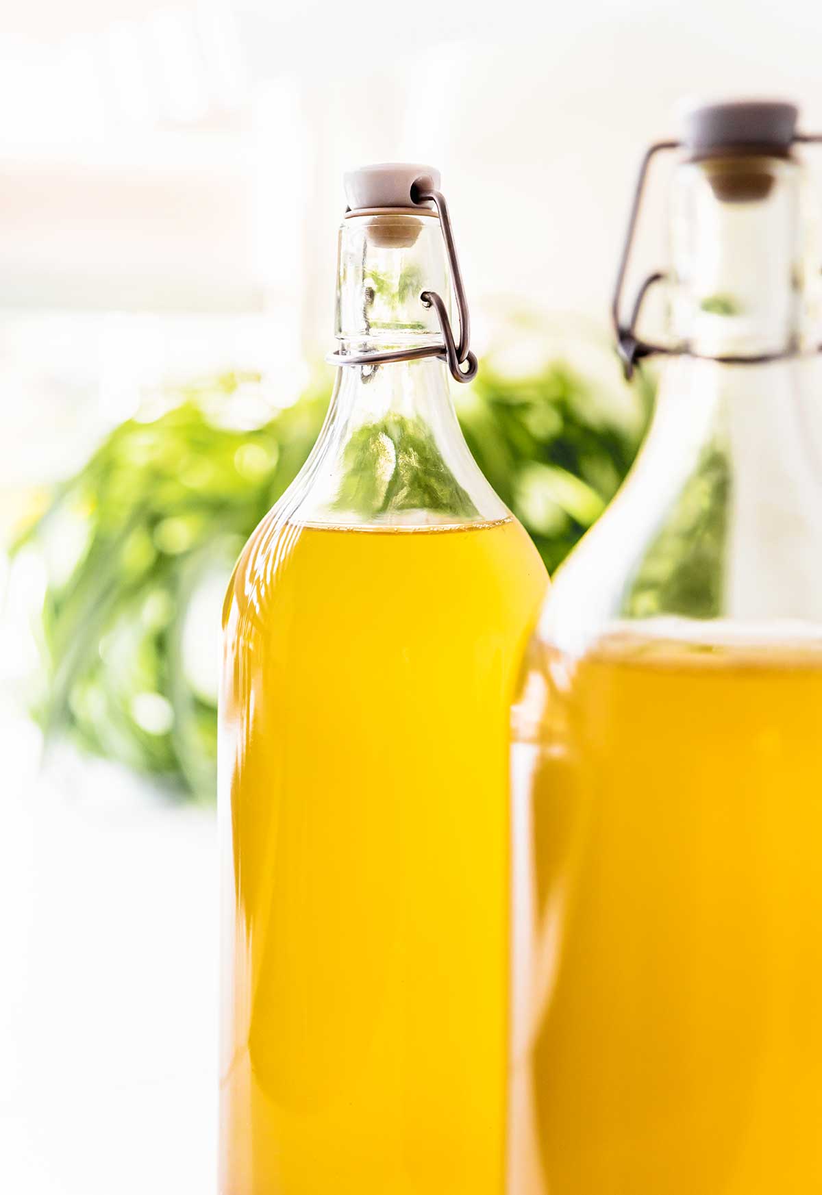 Bottles of green tea kombucha on a white counter with a plant in the background