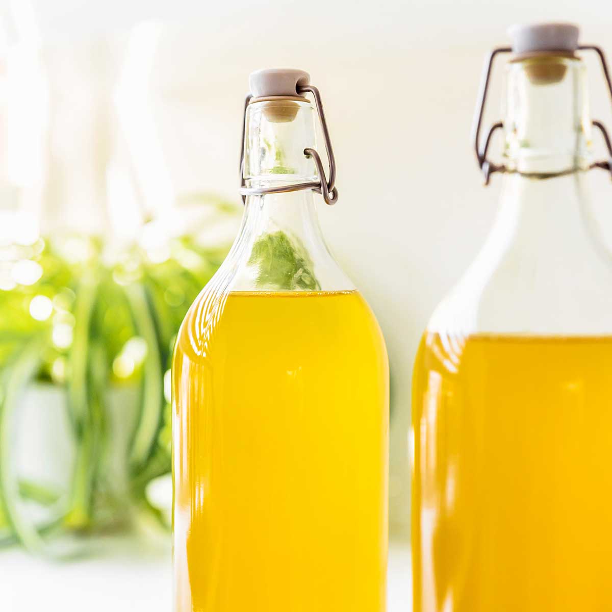 Bottles of green tea kombucha on a white counter with a plant in the background