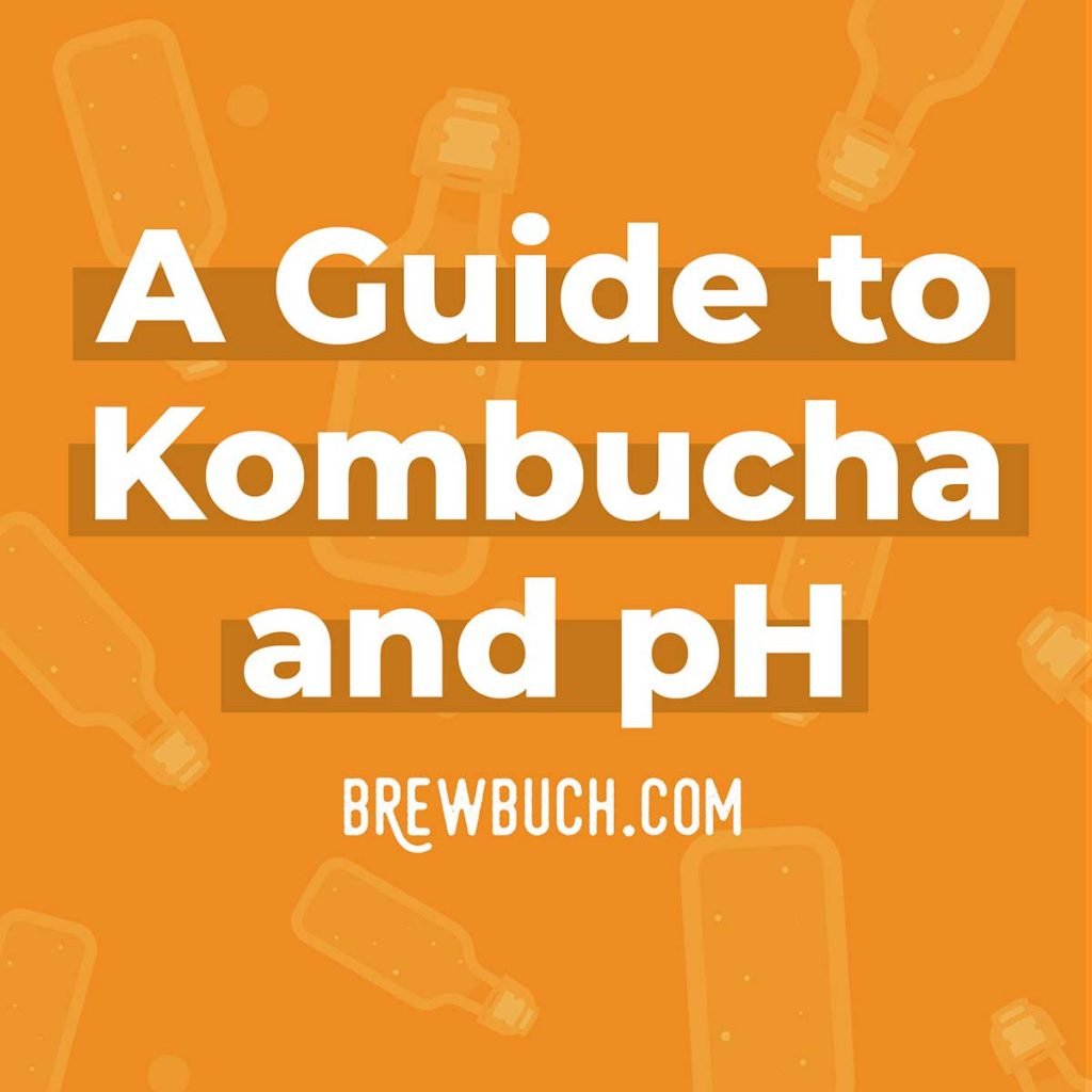 The Quick Guide To Kombucha Ph And Acidity Brew Buch