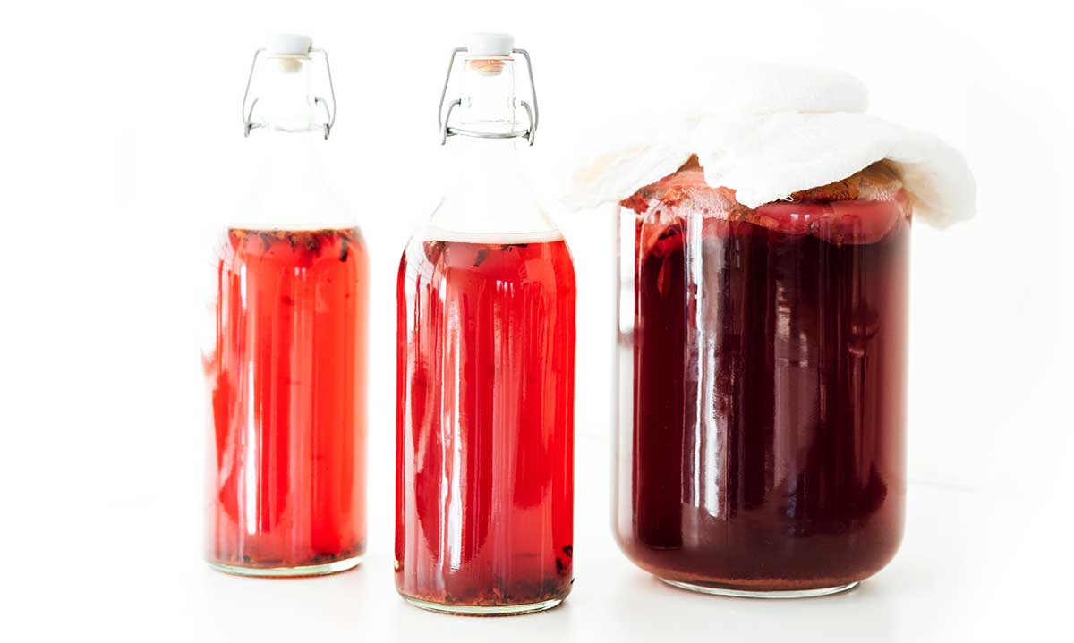 Hibiscus kombucha in fermentation bottles on a white background