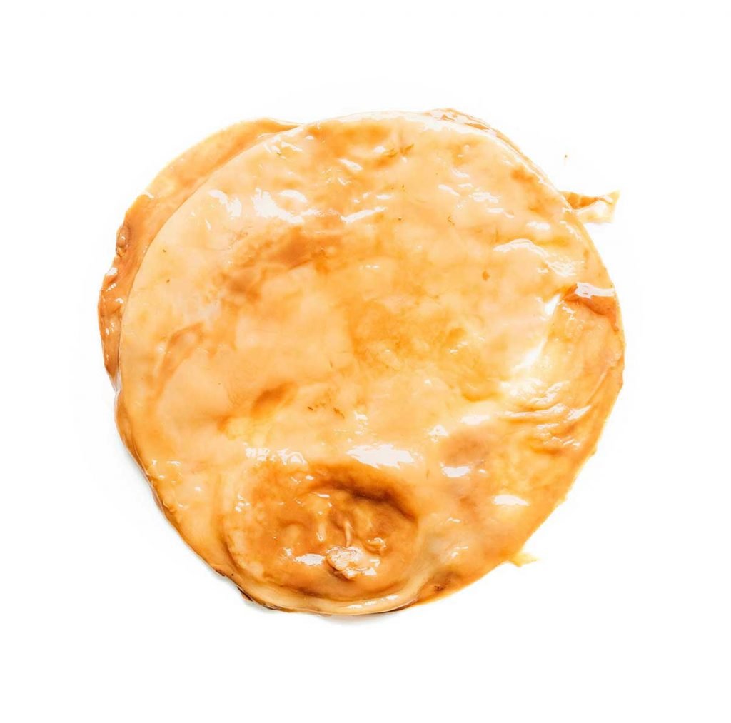 Kombucha SCOBY on a white background