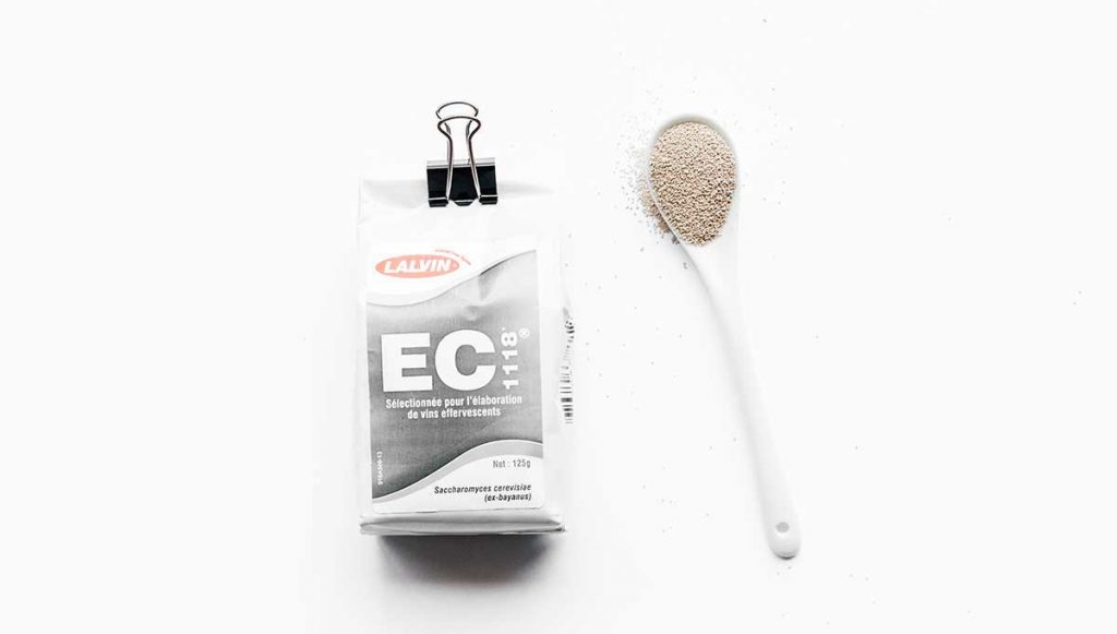 EC118 yeast for making hard kombucha on white background