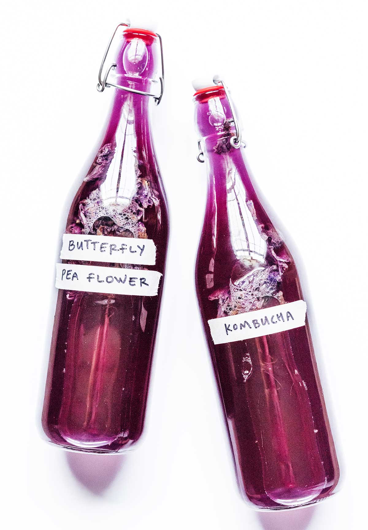 Butterfly Pea Flower Kombucha (1st and 2nd Fermentation Options) Brew
