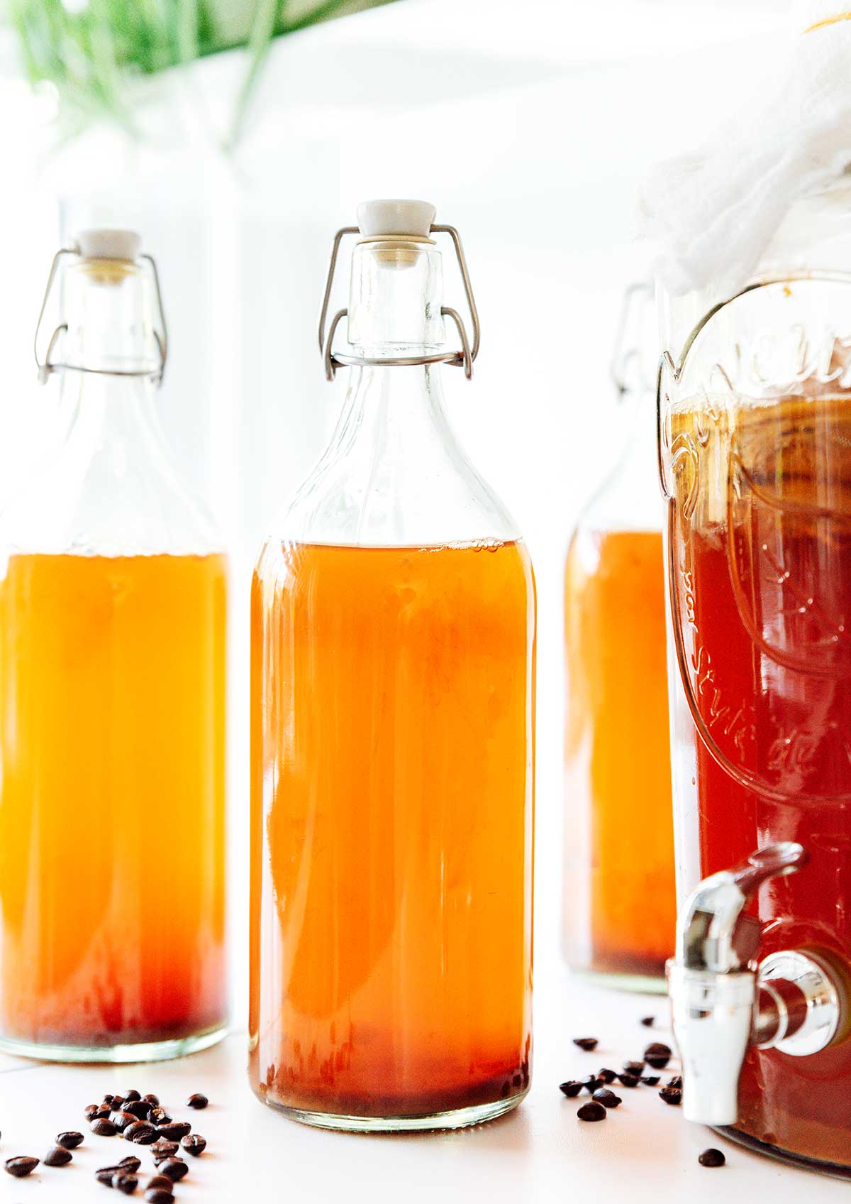 How to Make Coffee Kombucha Brew Buch