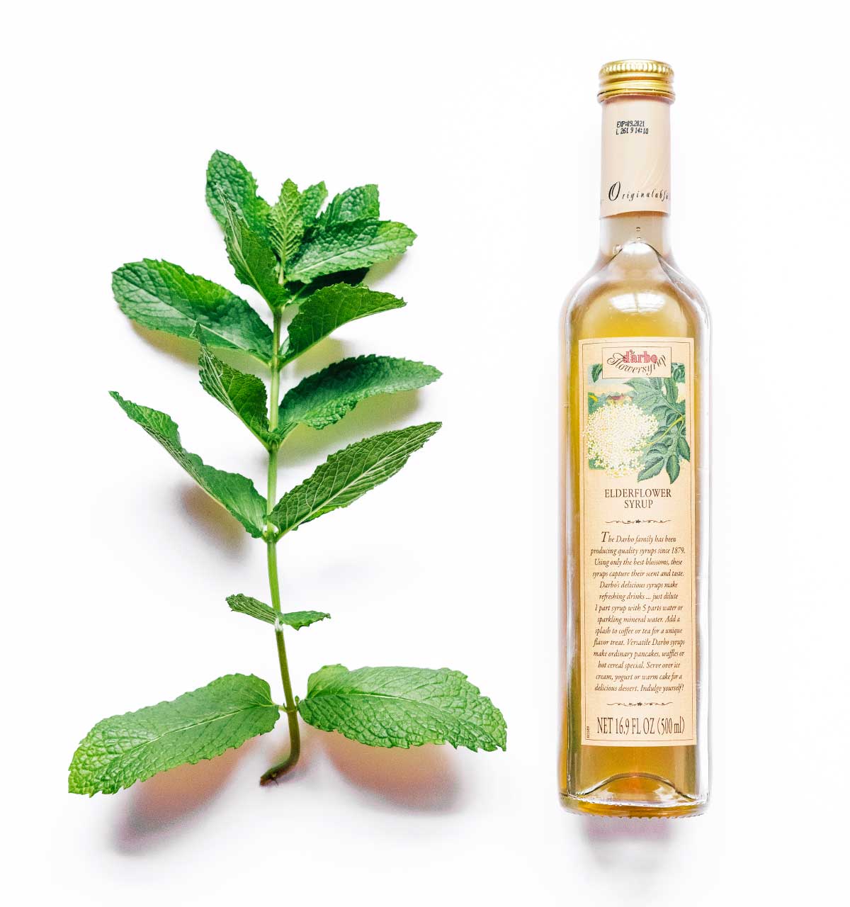 Easy Elderflower Kombucha (+ Flavor Options) Brew Buch