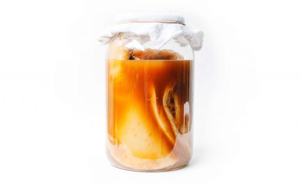 Have extra kombucha SCOBYs that you don't need right now, but want to hold onto? Make a SCOBY hotel! Here's everything you need to know about making and maintaining your five star kombucha SCOBY hotel.