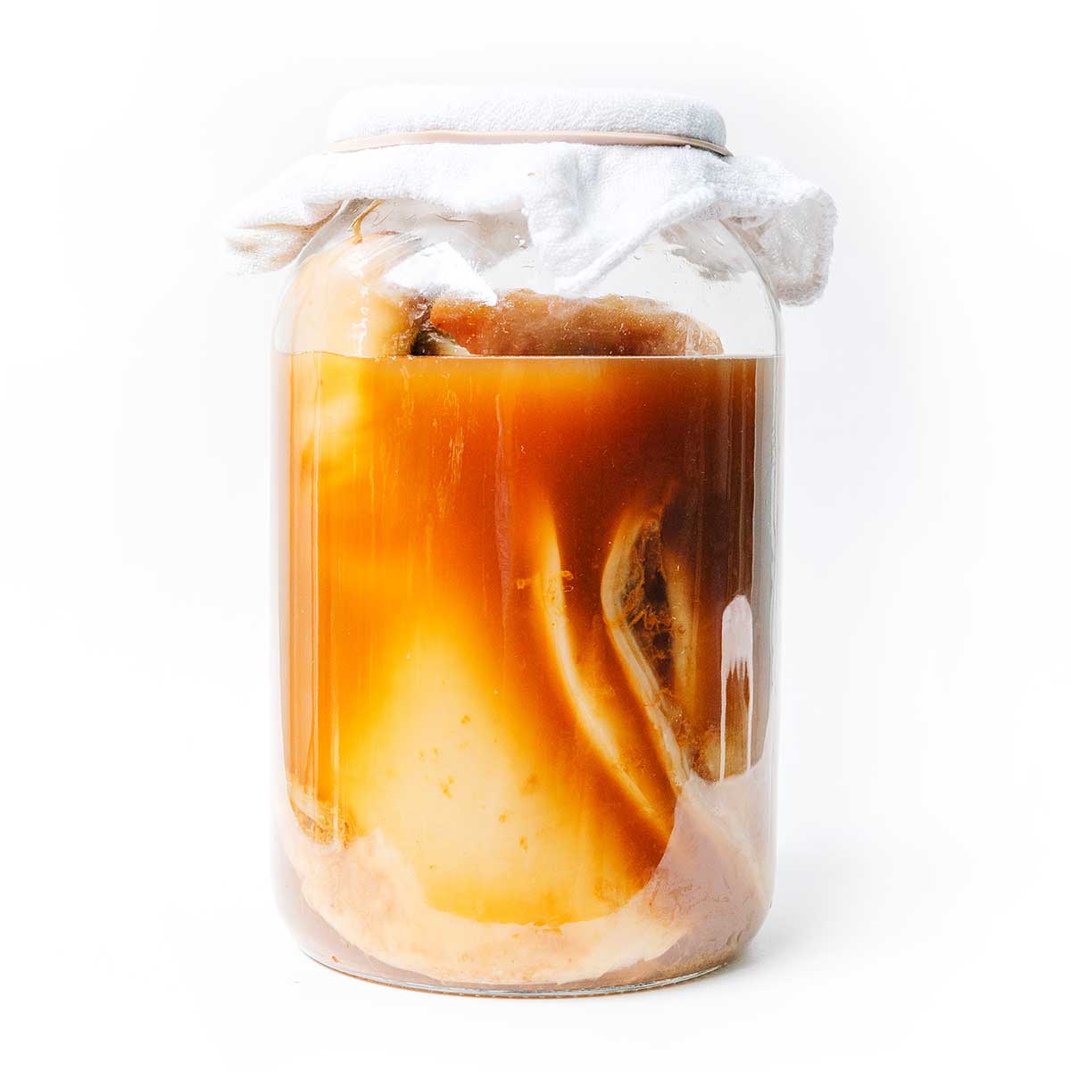 Kombucha SCOBY: What Is It And How To Make Your Own