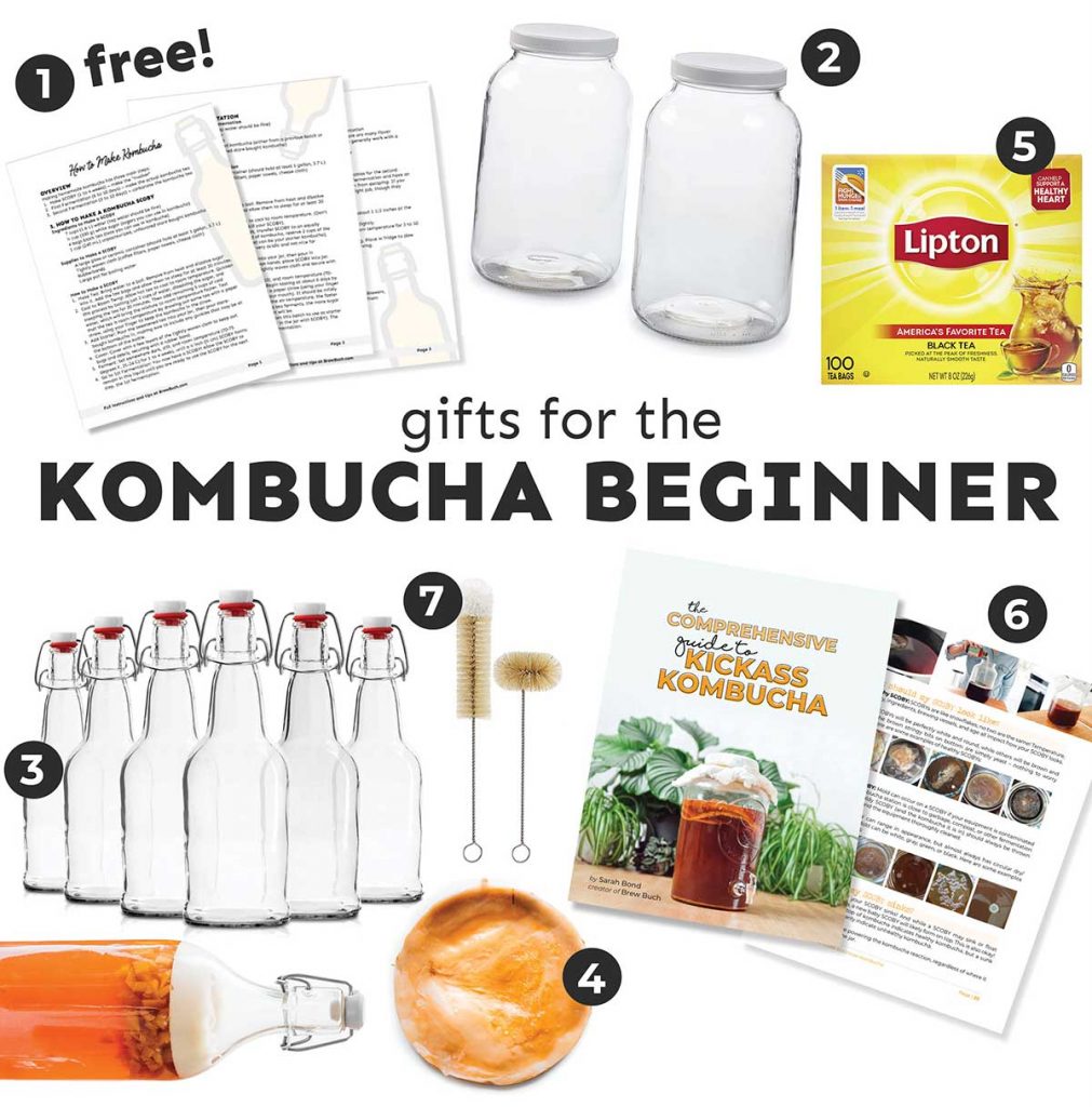 Kombucha Starter Kit - Basics for Making Kombucha - Bucha Brewers