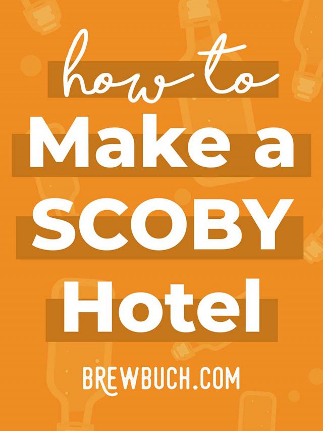How to Make a Kombucha SCOBY Hotel