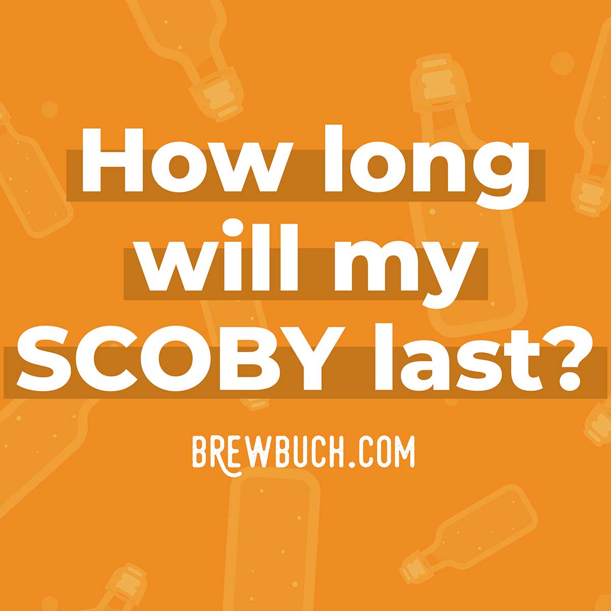 How long does a SCOBY last?