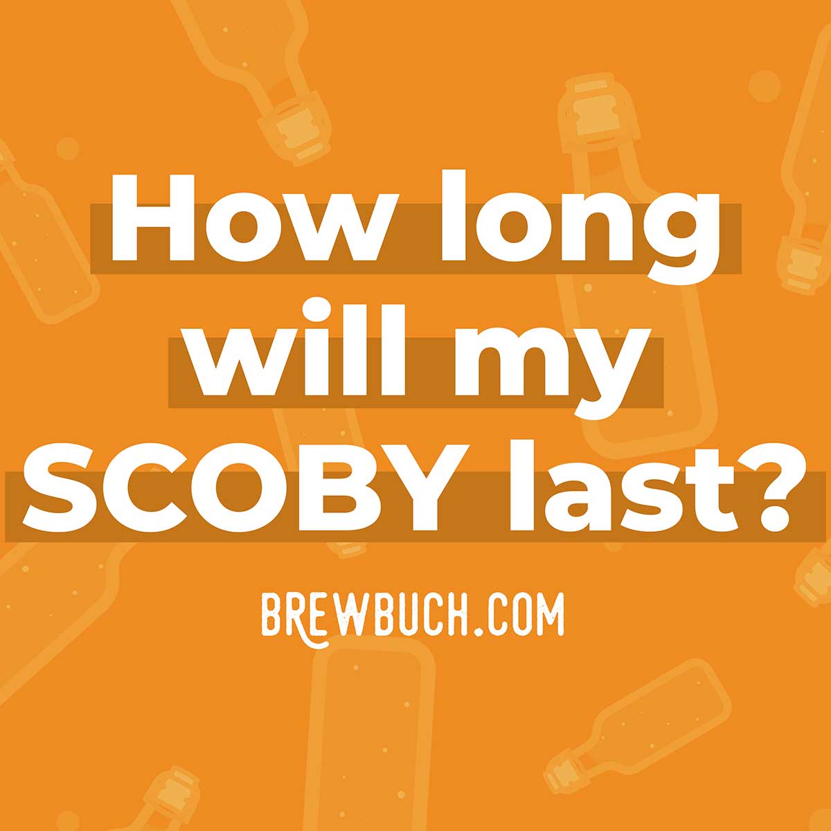 How Long Does A Kombucha Scoby Last Answers Here Brew Buch