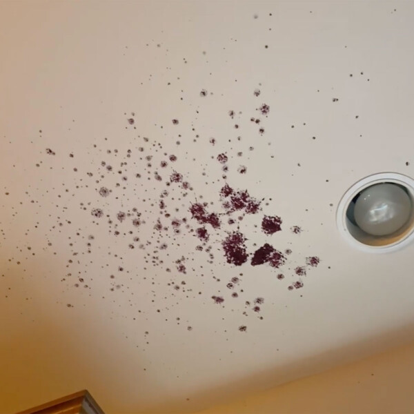 How To Prevent Kombucha Bottles From Exploding | Brew Buch