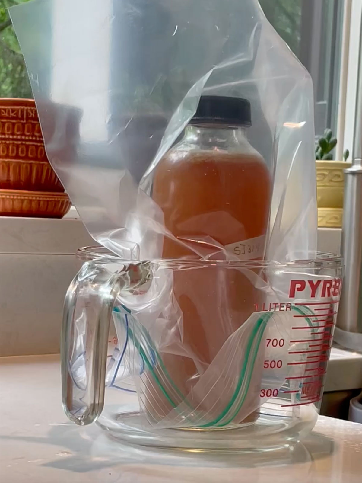 Opening a kombucha bottle with bag over bottle.
