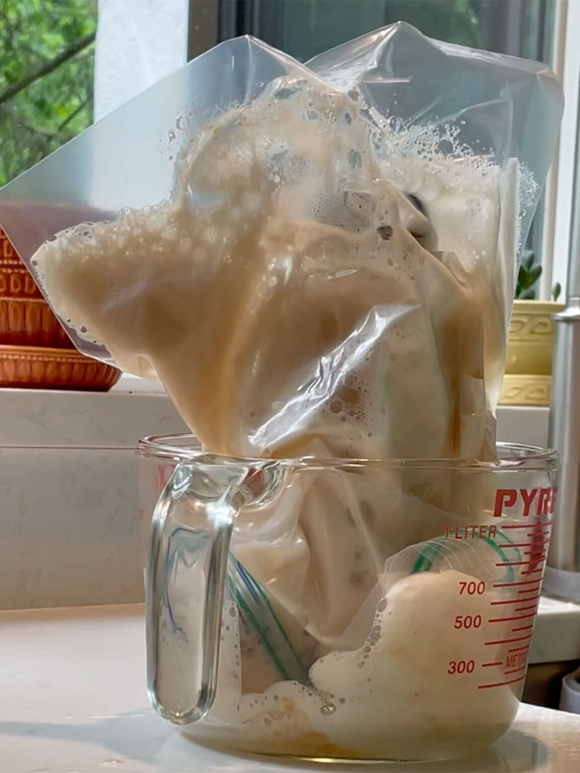 How To Prevent Kombucha Bottles From Exploding Brew Buch