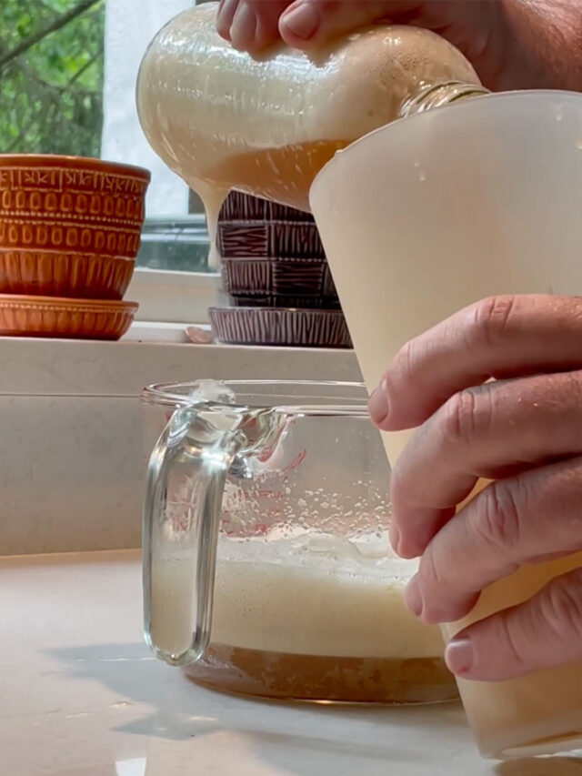 How To Prevent Kombucha Bottles From Exploding | Brew Buch