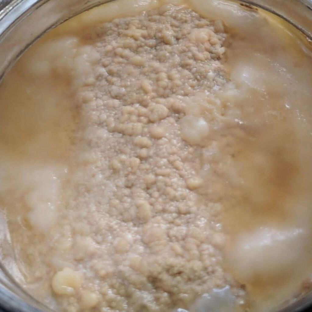 An example of kahm yeast in kombucha.