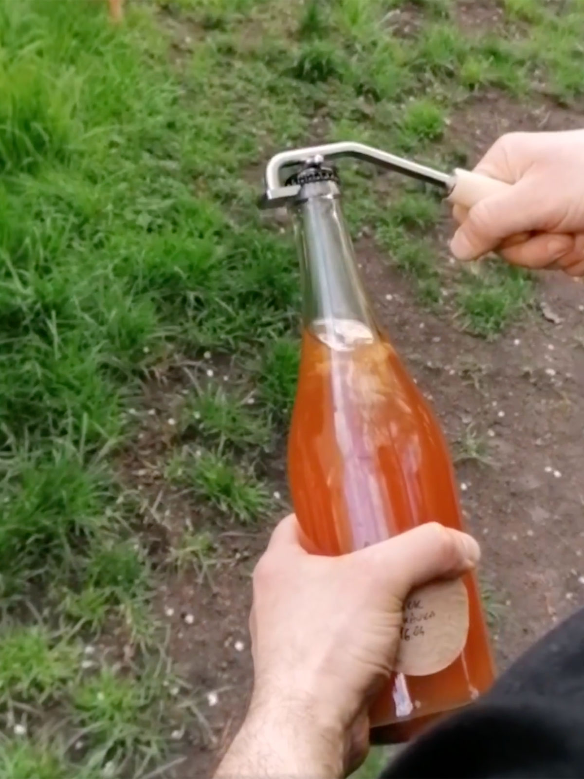 Exploded kombucha bottles.