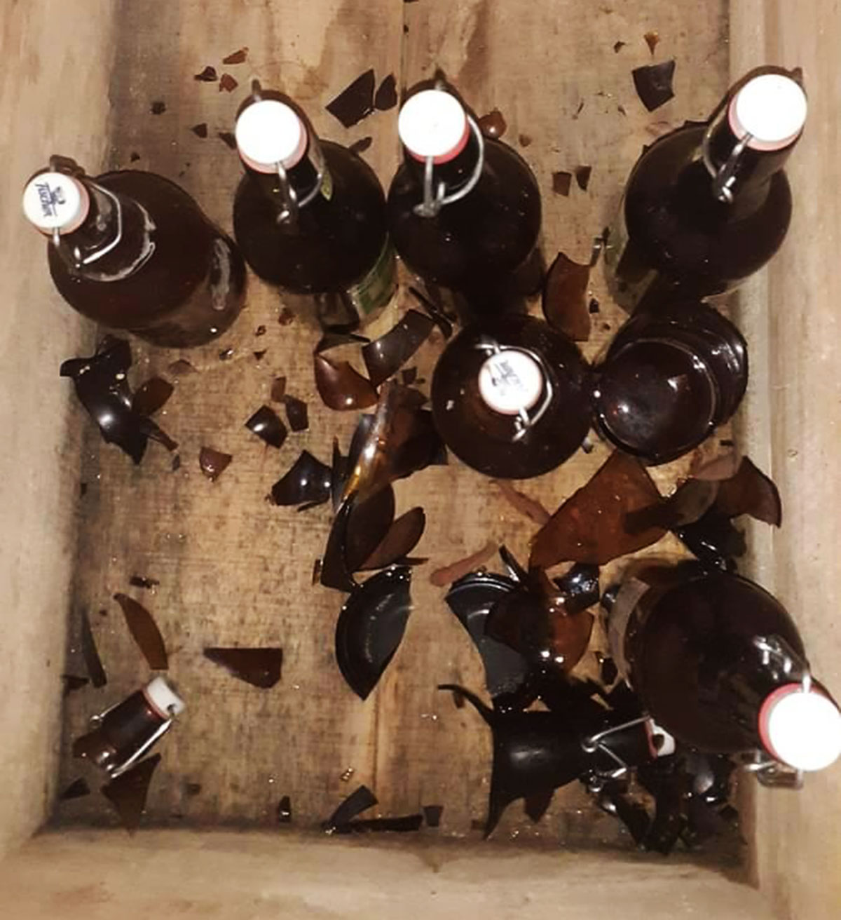 Exploded kombucha bottles.