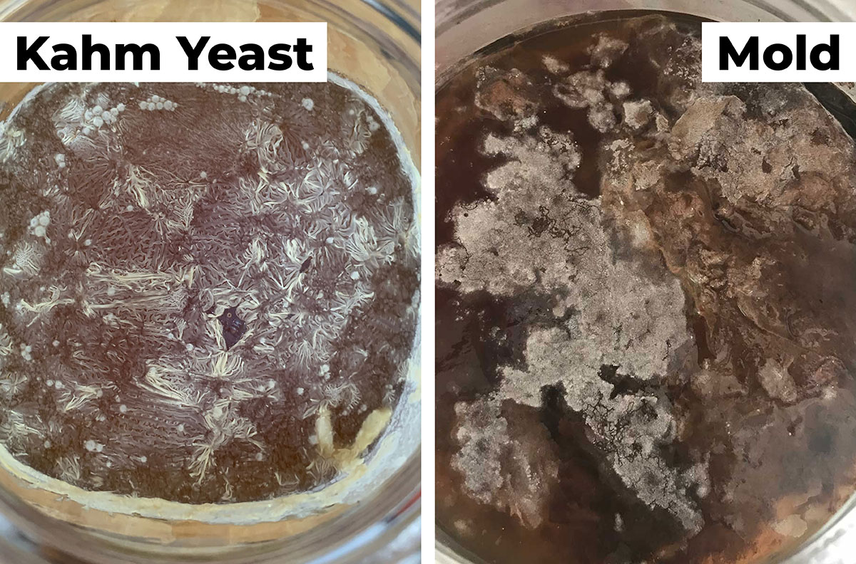 Kahm yeast vs mold.
